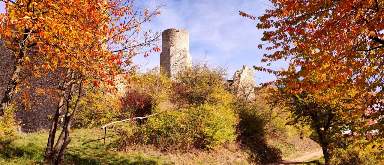 goldeneroktoberbrandenburg